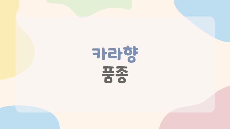 카라향 품종