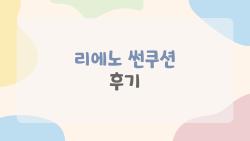 리에노 썬쿠션 후기, 장윤정 추천 빅쿠션 진짜 백탁없어?