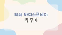 러쉬 바디스프레이 빅 후기, 왜 자꾸 손이 갈까