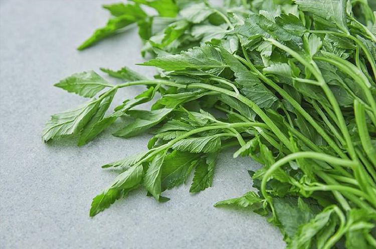 미나리 효능 변비, 2주 만에 뚫린 내 장 이야기