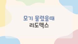 모기 물렸을때 리도맥스, 30분 만에 가려움 싹! 진짜 후기