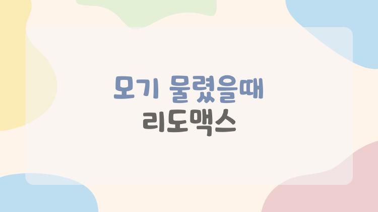 모기 물렸을때 리도맥스