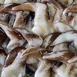 남당리 새조개 가격, 작년 금값에서 내려왔네…가성비 갑 방문 후기