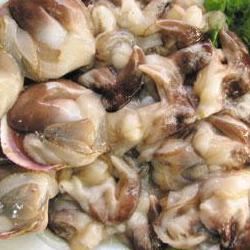 남당리 새조개 맛집, 올해 9만원에 이 쫄깃함 미쳤다!