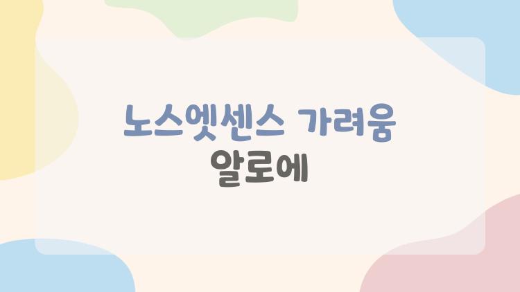 노스엣센스 가려움 알로에, 가려움 없이 땀 bye? 2026 리얼 후기