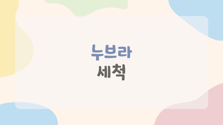 누브라 세척