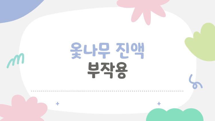 옻나무 진액 부작용 2026 최신, 안전 먹는 비밀