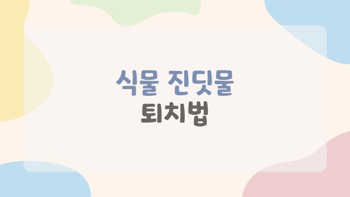 생활백서