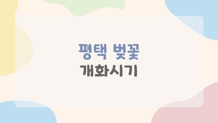 평택 벚꽃 개화시기, 올해 4월 초에 피면 대박? 놓치면 후회!