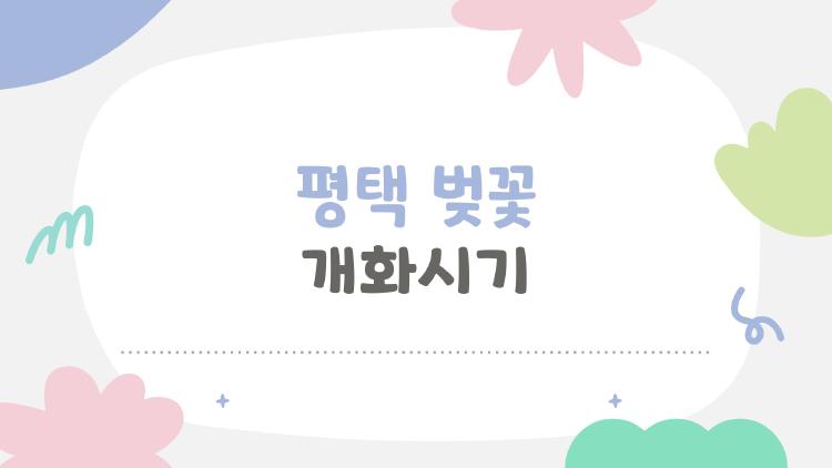 평택 벚꽃 개화시기