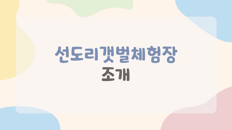 선도리갯벌체험장 조개
