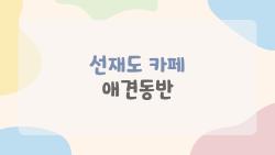 선재도 카페 애견동반, 이런 곳이 있는 줄 몰랐다? 100% 실망 없는 바다뷰 핫플 동선 정리