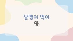 달팽이 먹이 양, 너무 많이 주면 대참사 난 이유