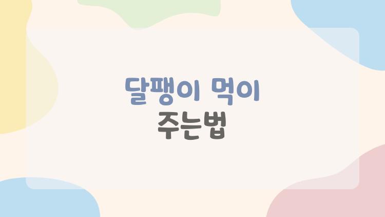 달팽이 먹이 주는법