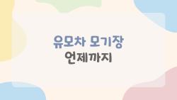 유모차 모기장 언제까지 써야 안전할까, 18개월 딱 끊는 이유