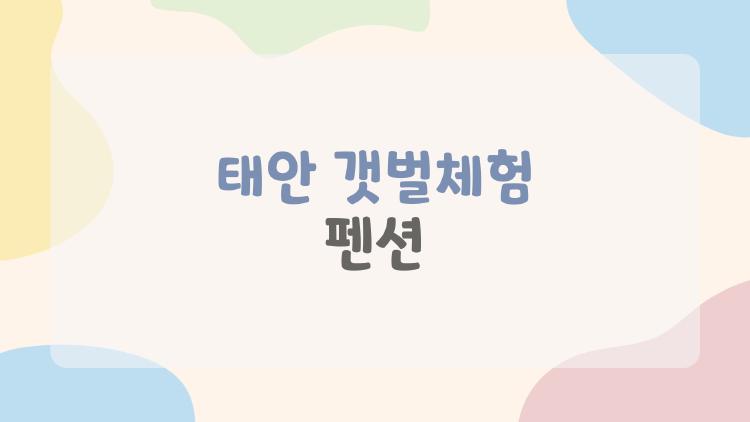 태안 갯벌체험 펜션, 이렇게 가면 아이들 끝장난다! 가족 여행 비하인드 팁