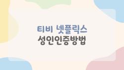 티비 넷플릭스 성인인증방법, 갑자기 오류 났을 때 1분 해결