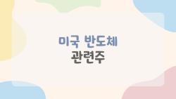 미국 반도체 관련주, 엔비디아 독주 끝? 2026 반전 종목 대공개