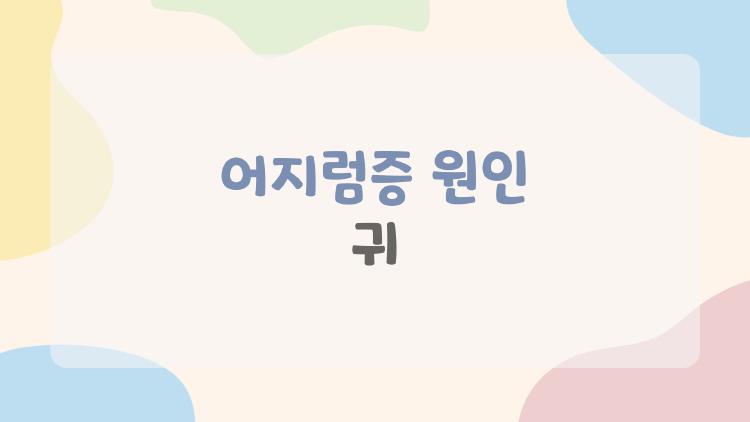 어지럼증 원인 귀